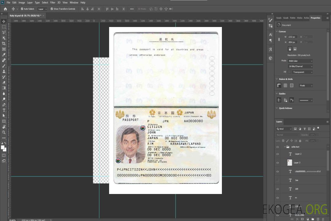 Passeport japonais template